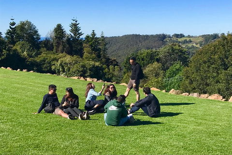 Mt Tamborine - Hinterland Wonders Self Guided - Attractions Sydney 1