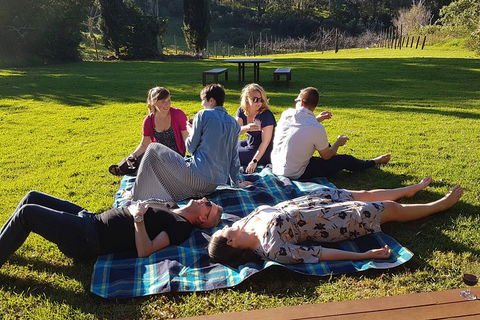 Mt Tamborine - Hinterland Wonders Self Guided - Attractions Sydney 2