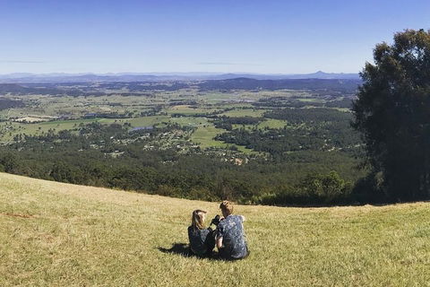 Mt Tamborine - Hinterland Wonders Self Guided - Attractions Sydney 4