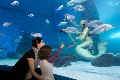 SEA LIFE Melbourne Aquarium Admission Ticket - Attractions Sydney 4