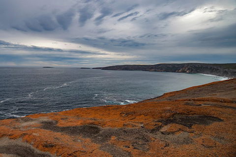 Kangaroo Island Luxury Small Group 'Flinders Chase Focus' Full Day Tour - Attractions Sydney 0