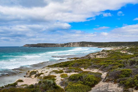 Kangaroo Island Luxury Small Group 'East End Explorer' Full Day Tour - Attractions Sydney 0