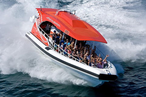 Adventure Rottnest Tour With Ferry & Adventure Cruise From Perth Or Fremantle - Attractions Sydney 2