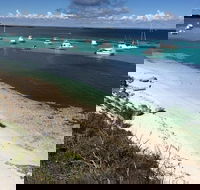 Experience Rottnest with Ferry  Bike Hire from Perth or Fremantle - Attractions Sydney