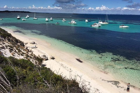 Experience Rottnest With Ferry & Bike Hire From Perth Or Fremantle - Attractions Sydney 0