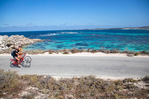 Experience Rottnest With Ferry & Bike Hire From Perth Or Fremantle - Attractions Sydney 2