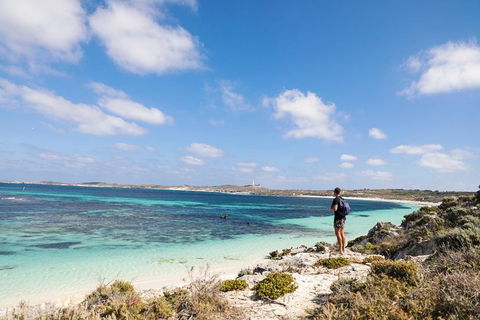 Experience Rottnest With Ferry & Bike Hire From Perth Or Fremantle - Attractions Sydney 3