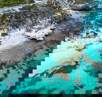 Rottnest Island Round-Trip Ferry from Perth or Fremantle - Attractions Sydney