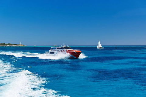 Rottnest Island Round-Trip Ferry From Perth Or Fremantle - Attractions Sydney 4