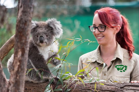 Small-Group Phillip Island Penguin Parade Day Tour From Melbourne - Attractions Sydney 0