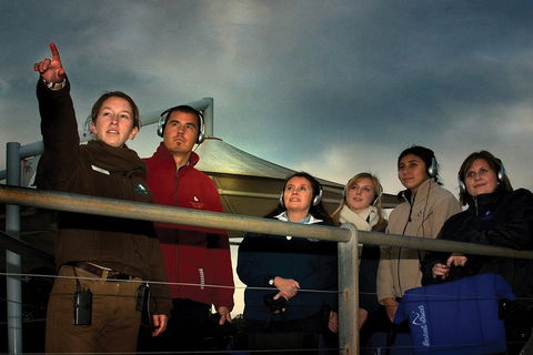 Phillip Island Penguin Parade Express Tour From Melbourne - Attractions Sydney 1