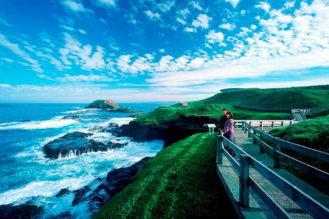 Phillip Island Penguin Parade Express Tour From Melbourne - Attractions Sydney 4