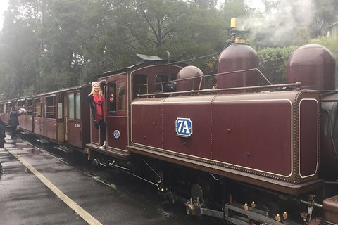 Puffing Billy, Moonlit Sanctuary & Penguins Day Tour - Attractions Sydney 4