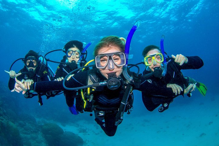  Attractions Sydney