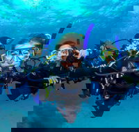 Great Barrier Reef Diving and Snorkeling Cruise from Cairns - Attractions Sydney