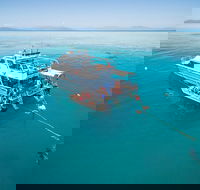 Ocean Freedom Great Barrier Reef Personal Luxury Snorkel  Dive Cruise Cairns - Attractions Sydney