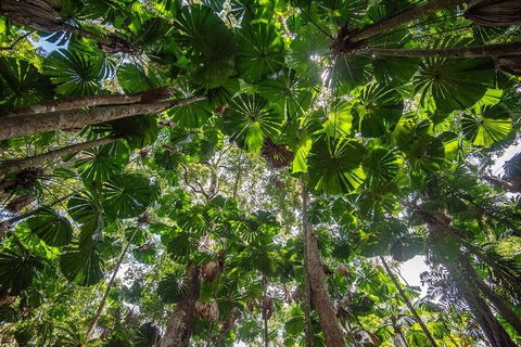 5 Day Australia Retreat: Queensland Daintree - Attractions Sydney 2