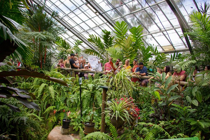  Attractions Sydney