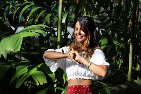 Australian Butterfly Sanctuary - Attractions Sydney 1