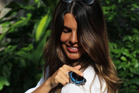Australian Butterfly Sanctuary - Attractions Sydney 2