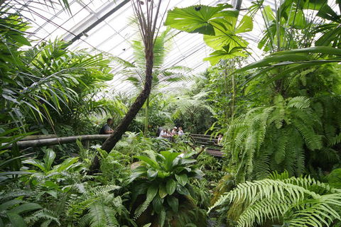 Australian Butterfly Sanctuary - Attractions Sydney 3