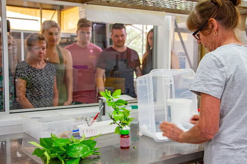 Australian Butterfly Sanctuary - Attractions Sydney 5