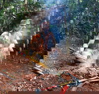 Kuranda Highlights including Rainforestation Aboriginal Culture and Wildlife - Attractions Sydney