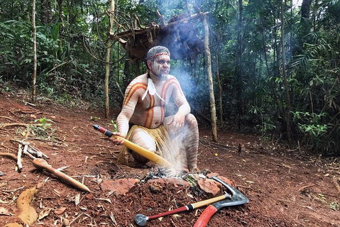 Kuranda Highlights Including Rainforestation Aboriginal Culture And Wildlife - Attractions Sydney 0