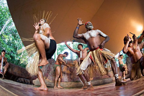 Kuranda Highlights Including Rainforestation Aboriginal Culture And Wildlife - Attractions Sydney 1