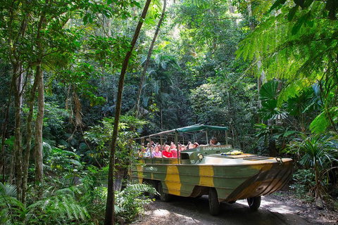 Kuranda Highlights Including Rainforestation Aboriginal Culture And Wildlife - Attractions Sydney 2