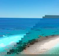 Ocean Safari Great Barrier Reef Experience in Cape Tribulation - Attractions Sydney