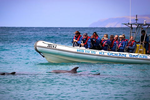 Kangaroo Island 75-Minute Ocean Safari - Attractions Sydney 4