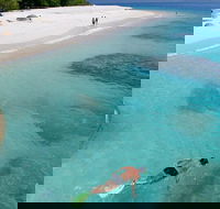 Fitzroy Island Day Trip from Cairns - Attractions Sydney