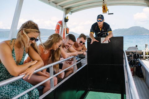 Fitzroy Island Day Trip From Cairns - Attractions Sydney 4