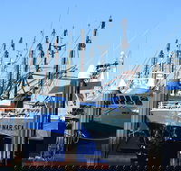 One Day Port Lincoln Tour - Tasting Eyre - Attractions Sydney