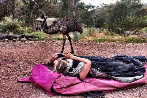 6 Day Esperance & Margaret River Adventure Tour - Attractions Sydney 5