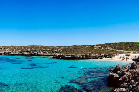 Rottnest Island Roundtrip Fast Ferry From Hillarys Boat Harbour - Attractions Sydney 4