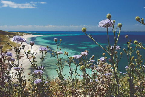 Rottnest Island Full-Day Trip With Guided Island Tour From Perth - Attractions Sydney 2