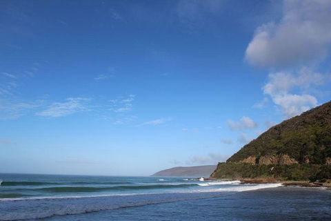 Private Great Ocean Road Day Tour With Early Departure & Early Return (11 Hours) - Attractions Sydney 3