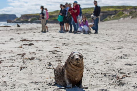 Kangaroo Island In A Day Tour From Adelaide - Attractions Sydney 0