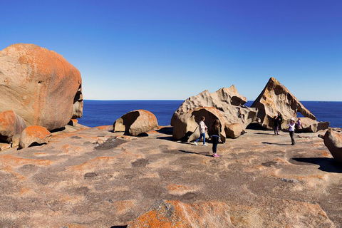 Full-Day Kangaroo Island Experience Departing From Kangaroo Island - Attractions Sydney 4
