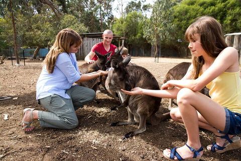 Full-Day Kangaroo Island Experience Departing From Kangaroo Island - Attractions Sydney 5