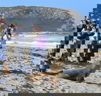 Full day Seal Bay Experience departing from Kangaroo Island - Attractions Sydney