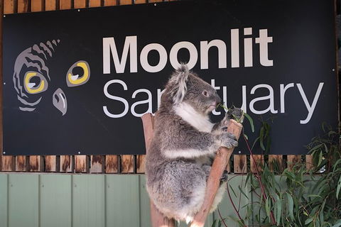 Small-Group Phillip Island Day Trip From Melbourne - Attractions Sydney 3
