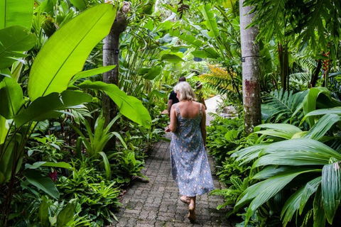 Cairns City Sights And Surrounds Tour - Attractions Sydney 2