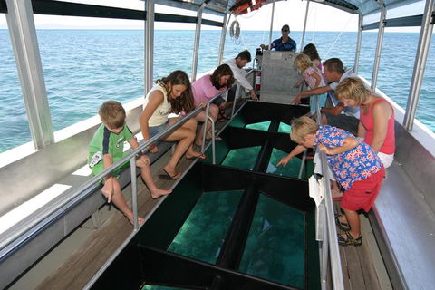 Cairns City Sights And Surrounds Tour - Attractions Sydney 5