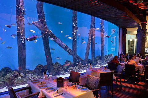 Cairns Aquarium And Small Group City Sightseeing Tour - Attractions Sydney 4