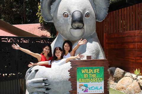 Kuranda Koala Gardens And Birdworld Admission Tickets - Attractions Sydney 3