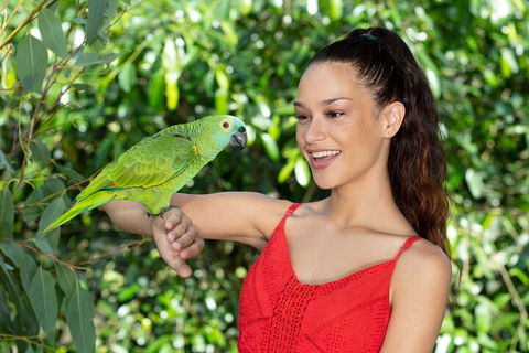 Kuranda Wildlife Experience Three Attraction Pass - Attractions Sydney 1