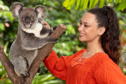 Kuranda Wildlife Experience Three Attraction Pass - Attractions Sydney 4